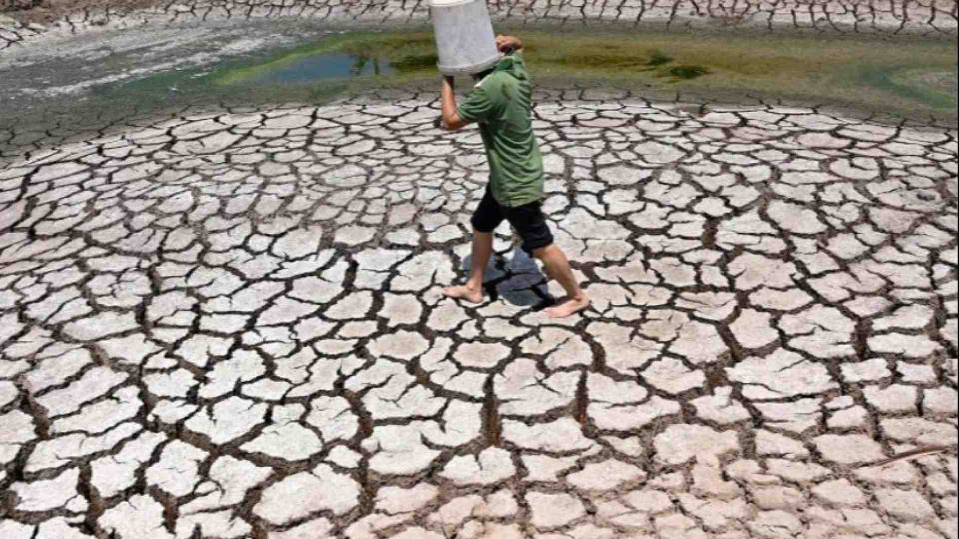 Immagine di «Marzo il mese più caldo mai visto». Superato il limite di 1,5°C