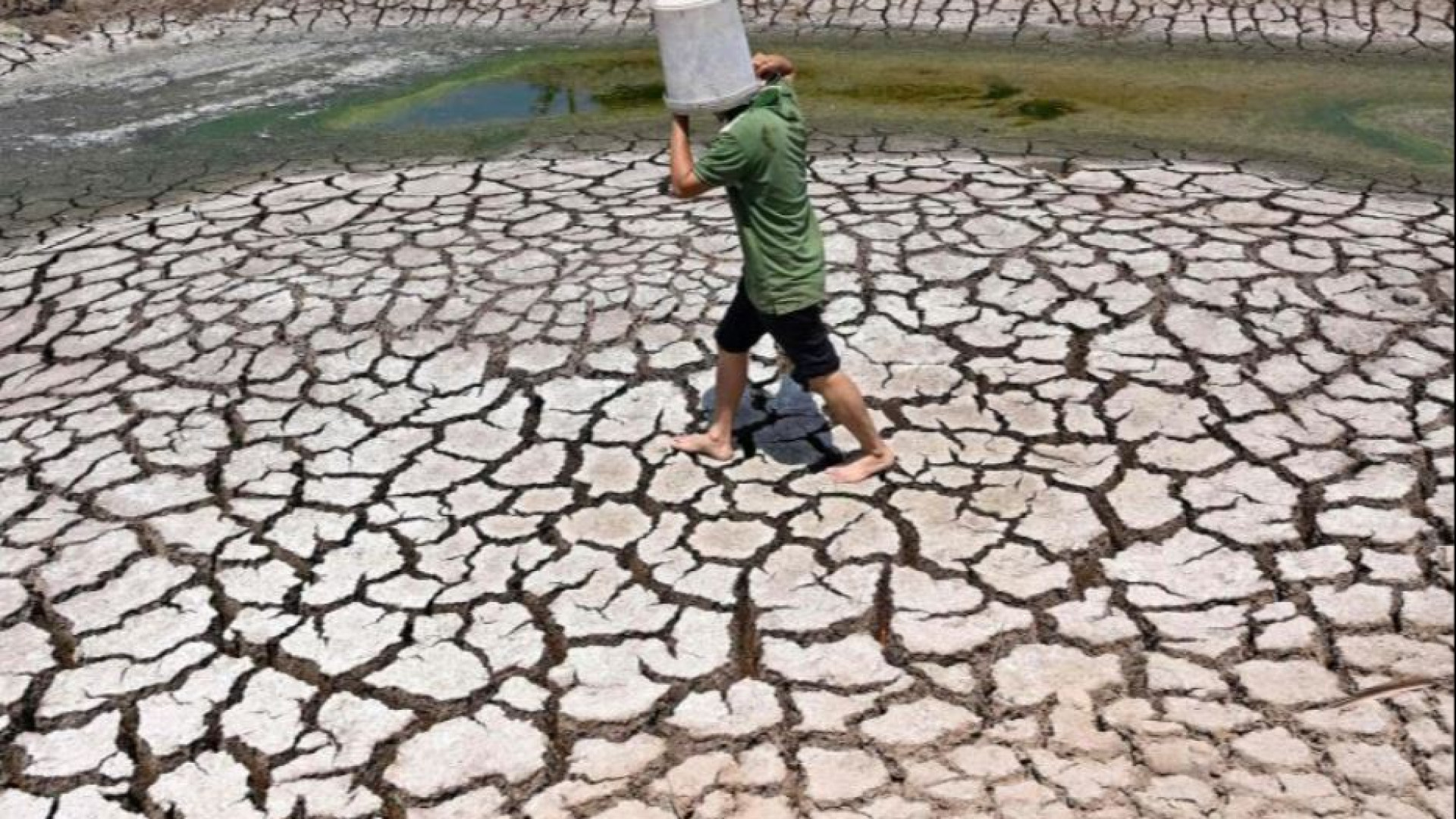 Immagine di «Marzo il mese più caldo mai visto». Superato il limite di 1,5°C