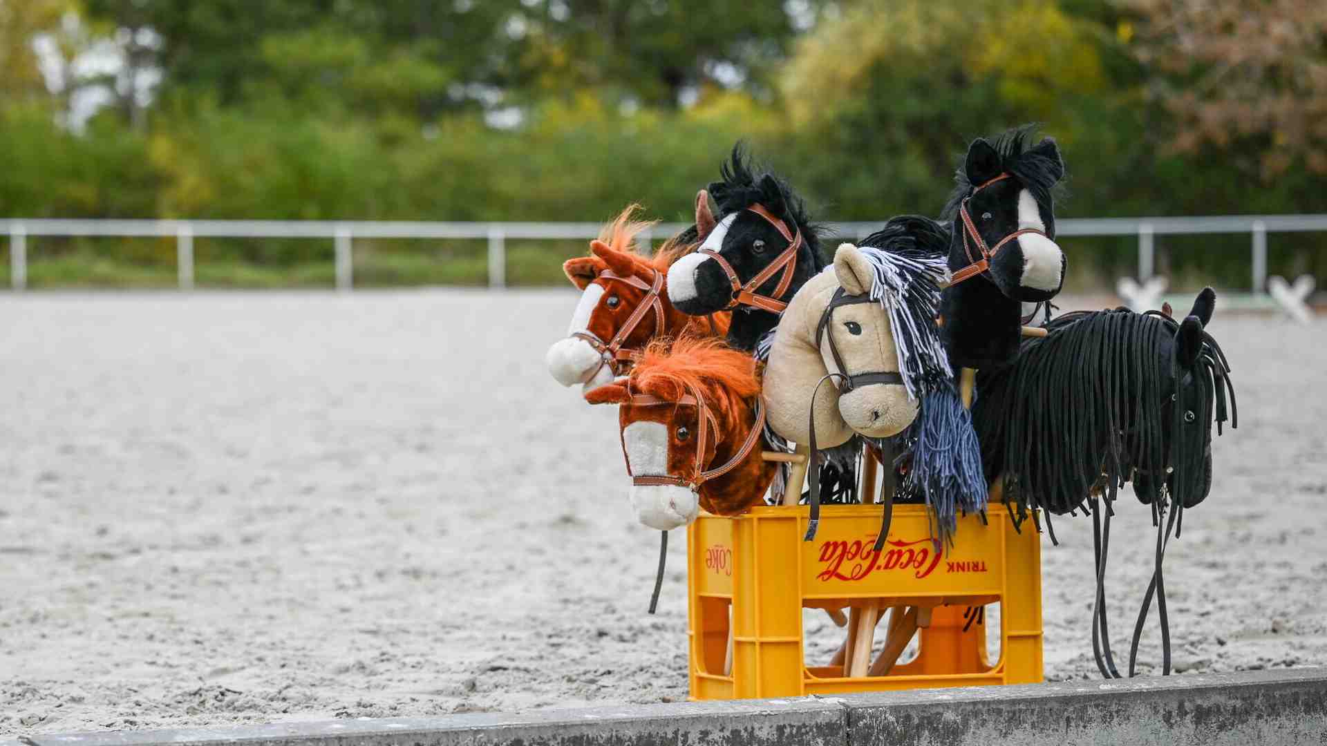Immagine di Tutti noi abbiamo un "hobby horse", scriveva Laurence Sterne. Aveva ragione