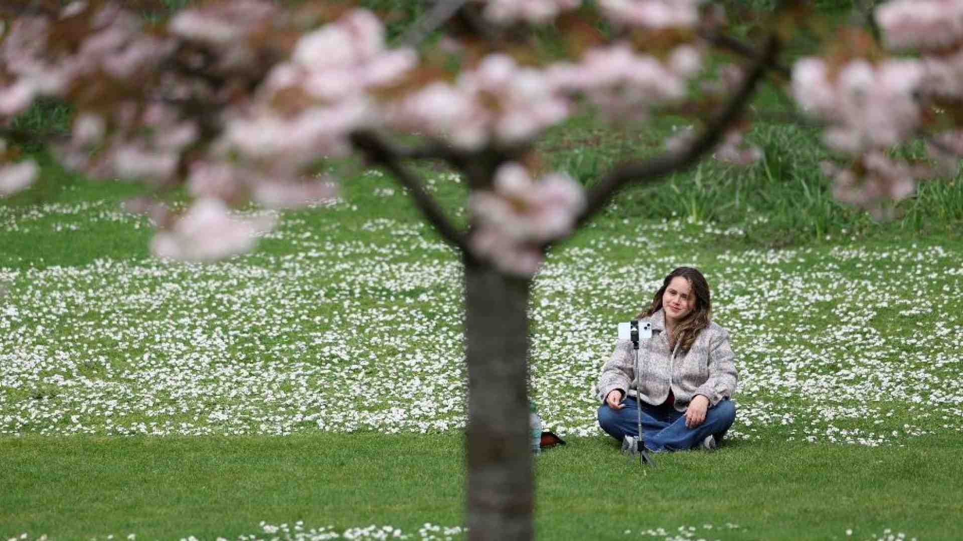 Immagine di «Disforia di genere, terapie senza prove. Ora spazio alla psicologia»