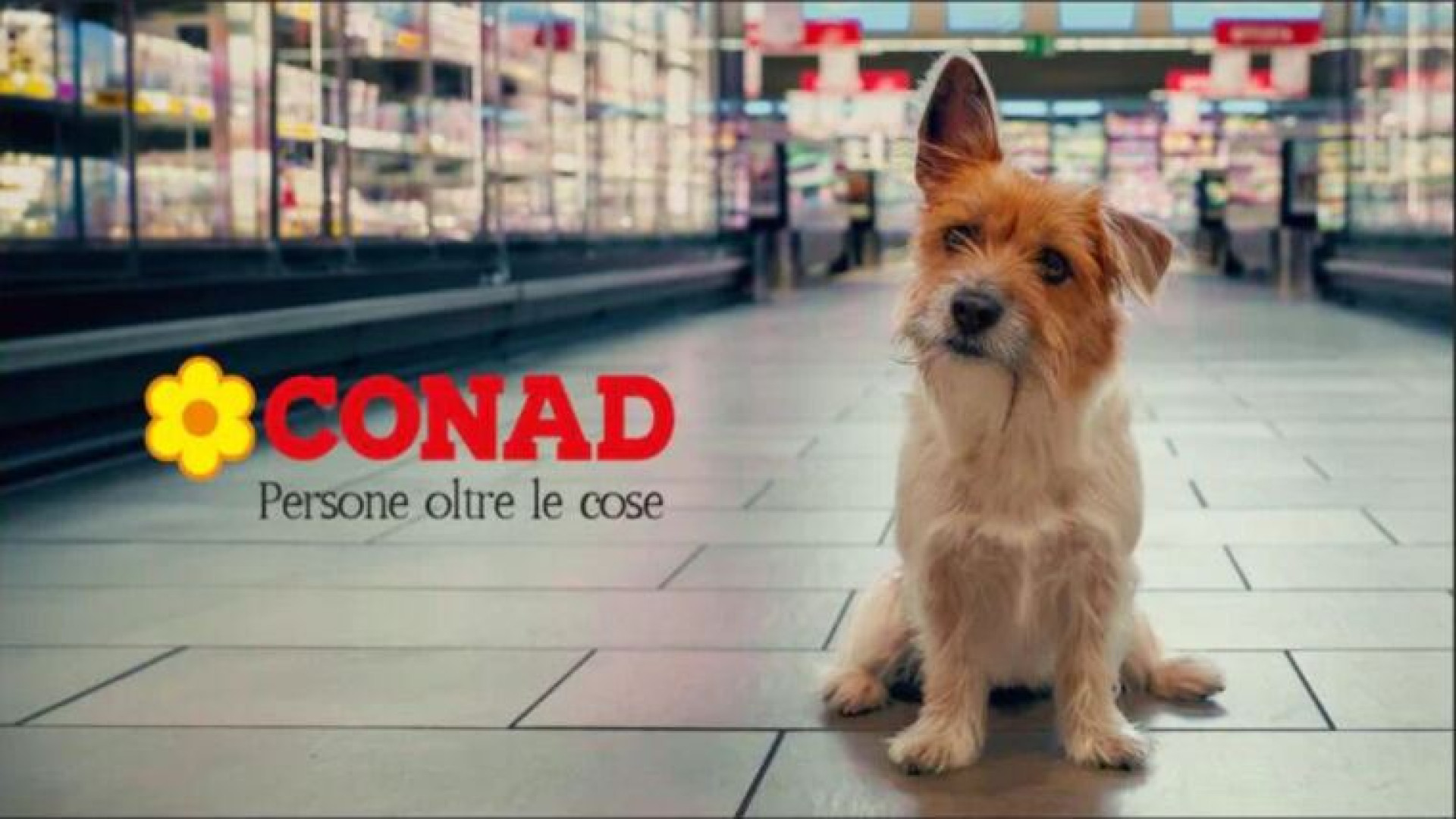 Immagine di La tv come regno della retorica