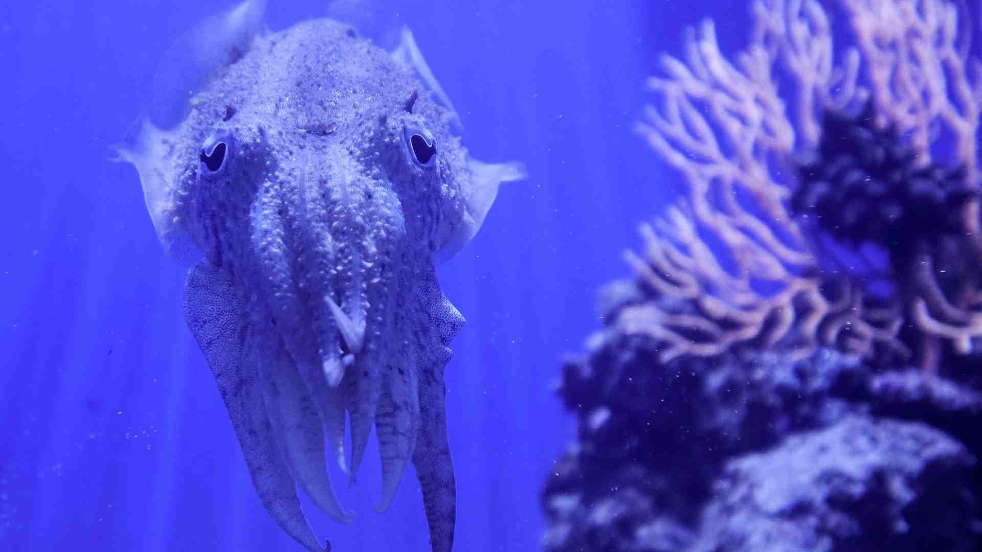 Immagine di Calo della fertilità: quando l'uomo è umiliato è ovvio diventi infecondo