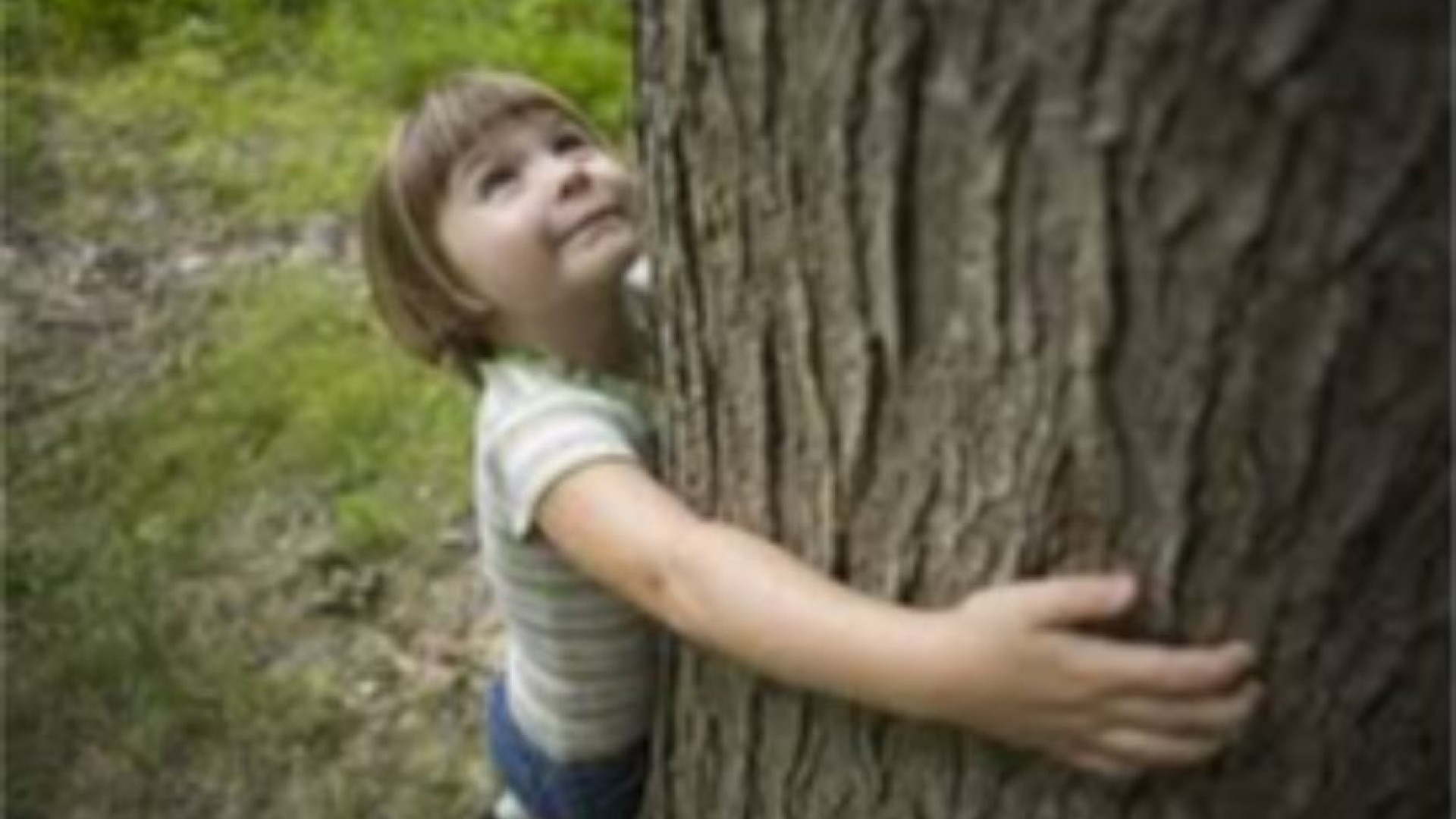 Immagine di Come salvare i bambini dal killer inquinamento