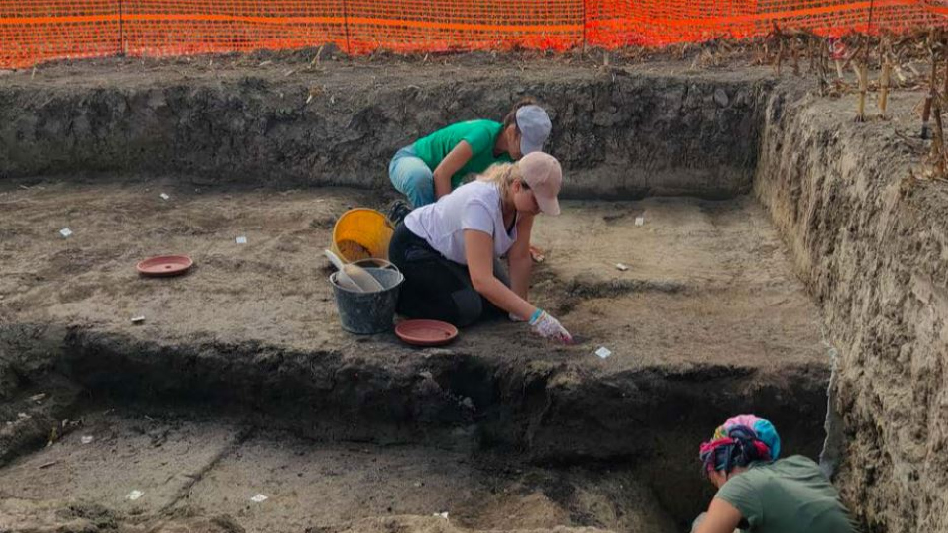 Immagine di In Veneto il più grande bazar della protostoria