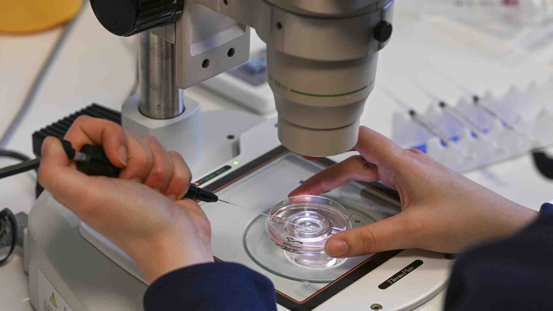 Immagine di La scienza è incerta, e questa è la sua forza