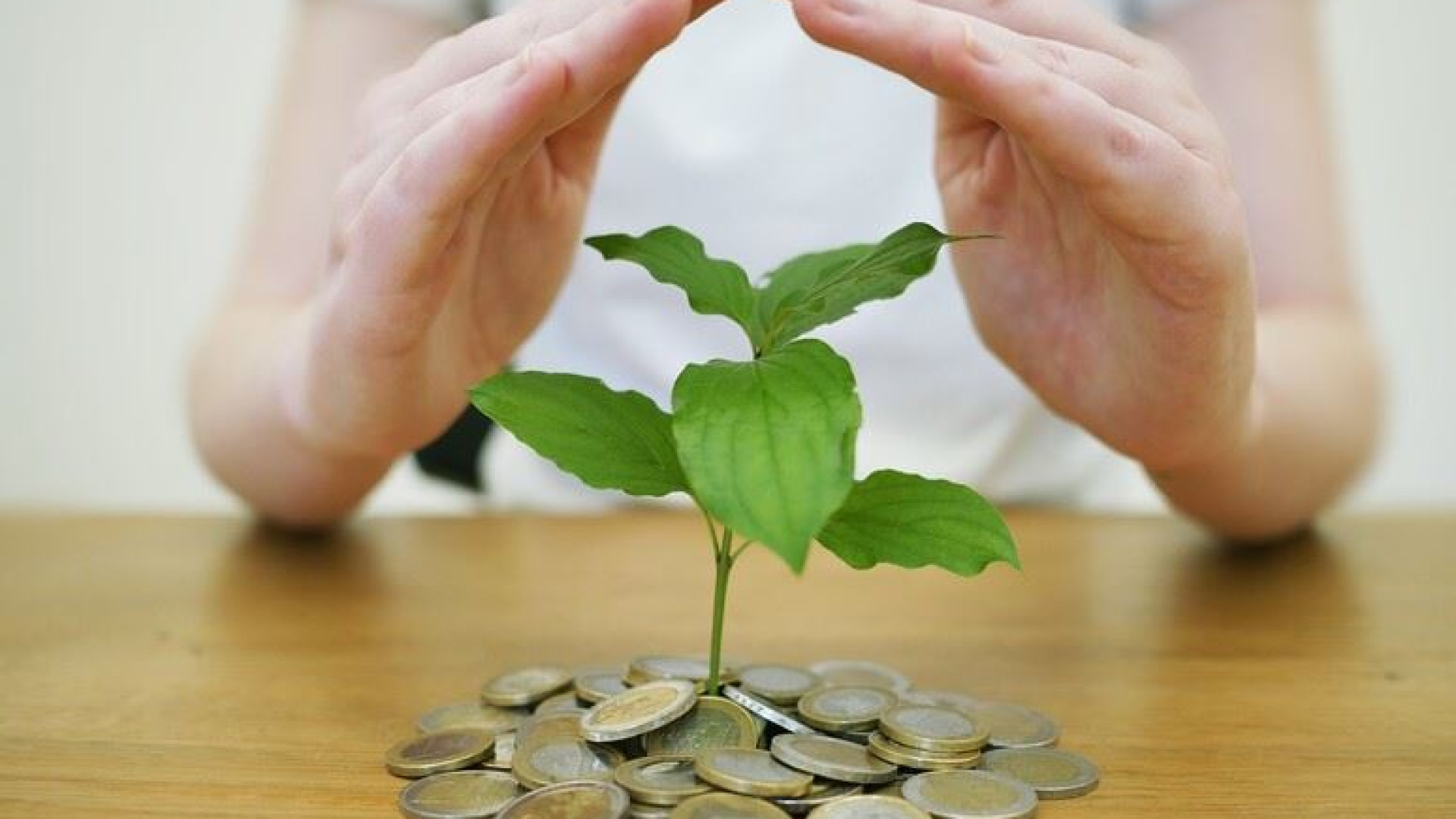 Immagine di Deposito a risparmio, investimento a misura di famiglia