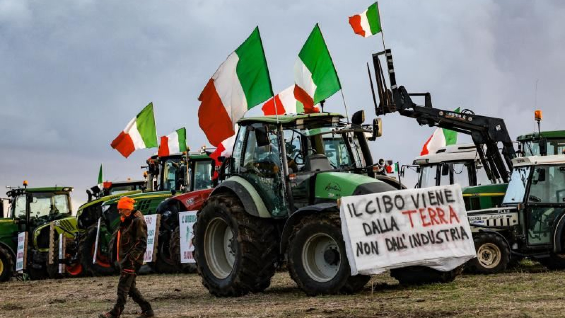 Immagine di «Obiettivi del Green Deal non impossibili ma l’Ue sostenga gli agricoltori»