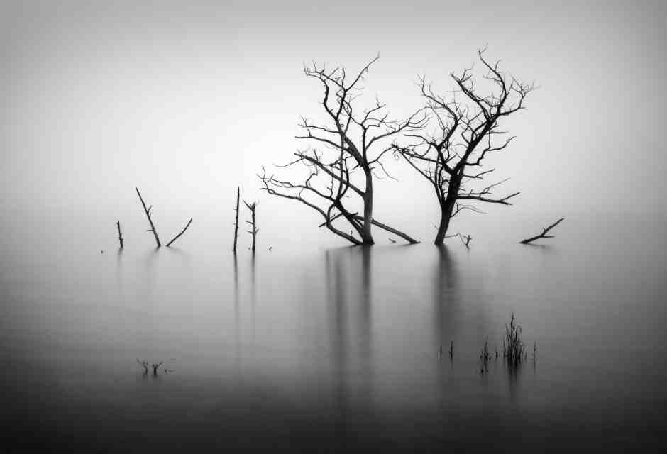 (foto Unsplash)