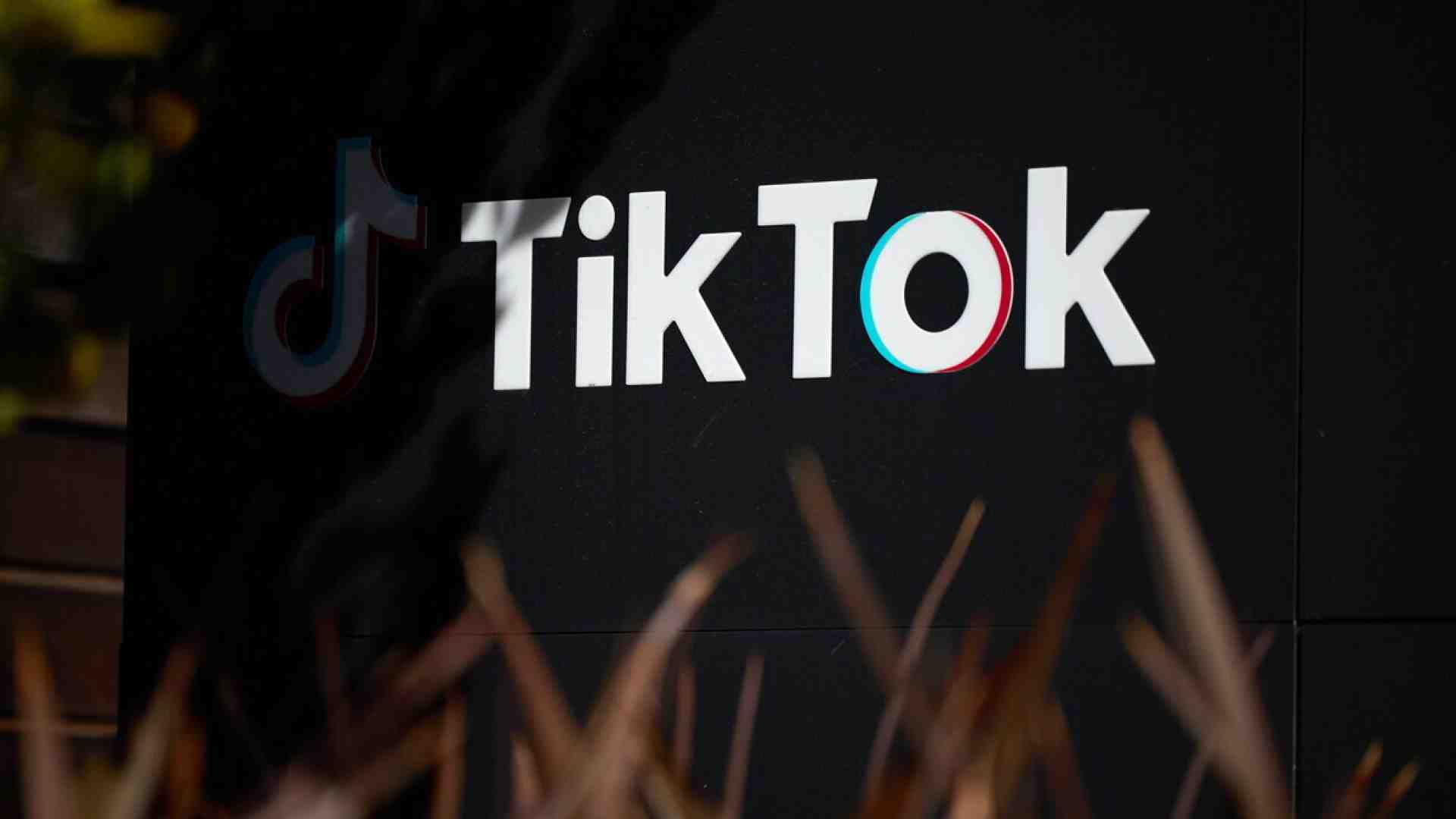 Immagine di L'Ue contro TikTok