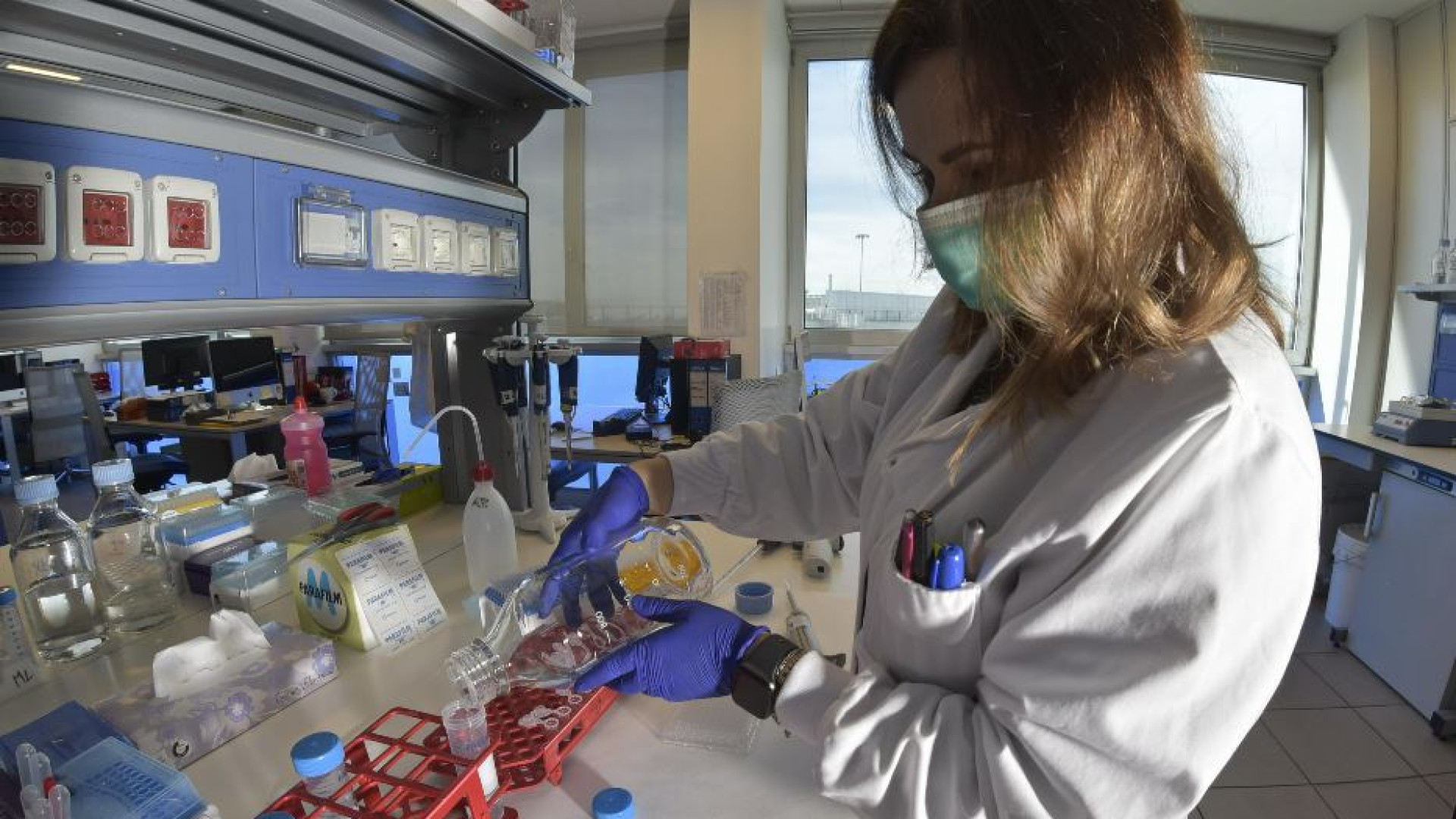 Immagine di Cancro del colon retto, così l’aspirina “scova” le cellule maligne