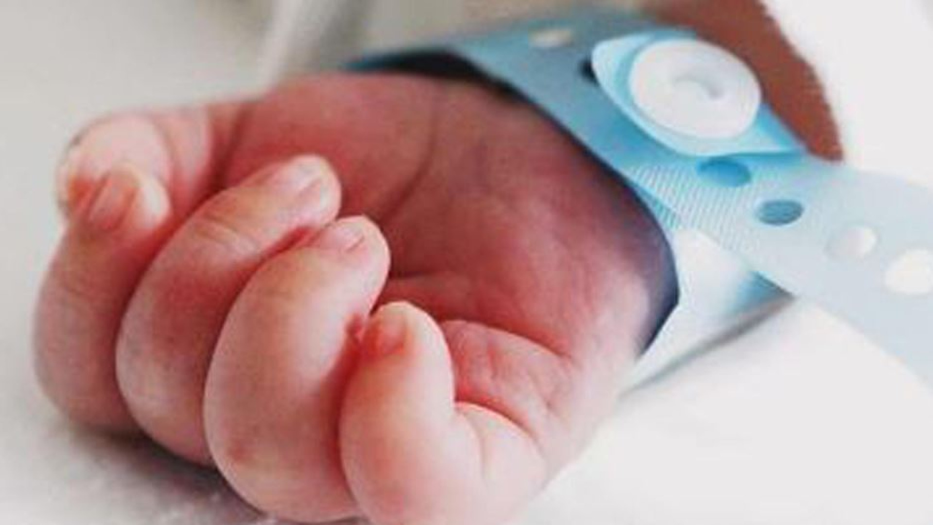 Immagine di «Azzurra come Gianna Beretta Molla: una voce che ci parla nel profondo»