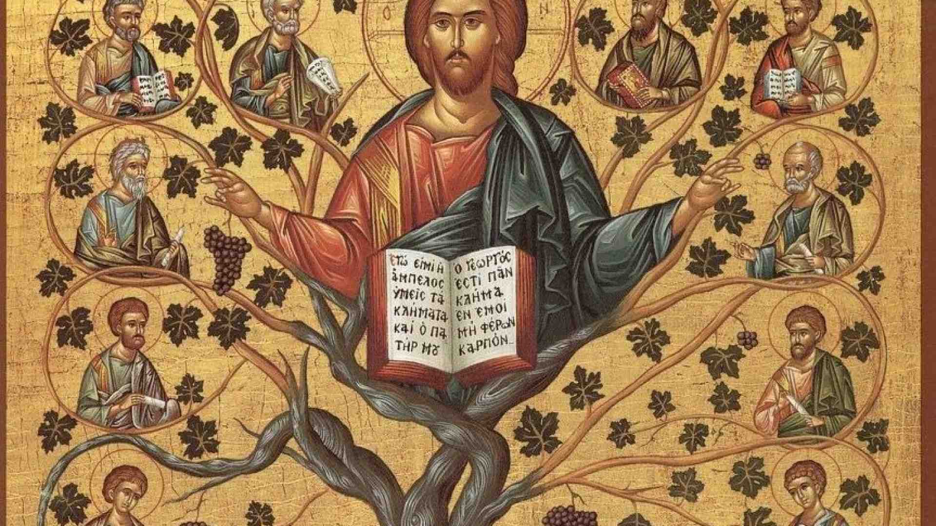 Immagine di Attaccati alla vite per portare frutto