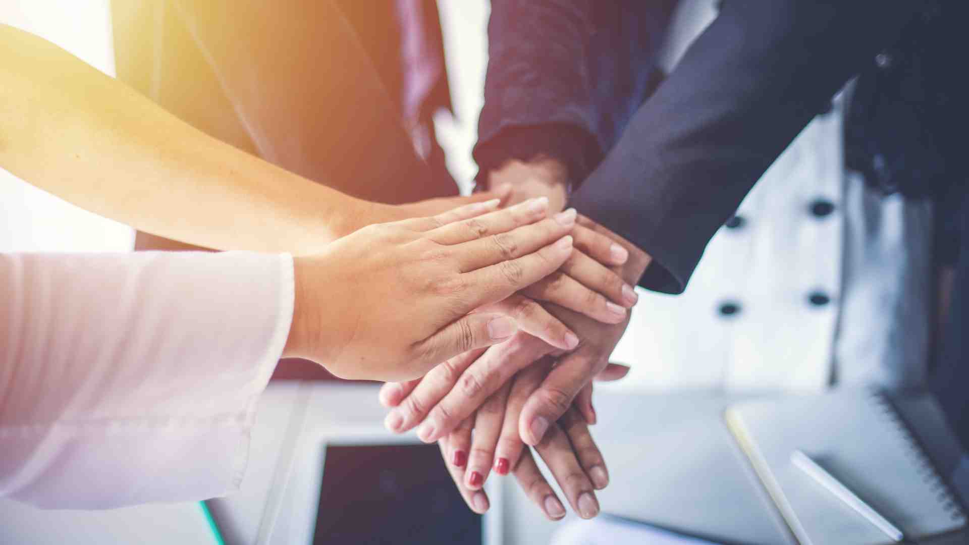 Immagine di «Creare valore per tutti»: Nativa aiuta le imprese a essere rigenerative