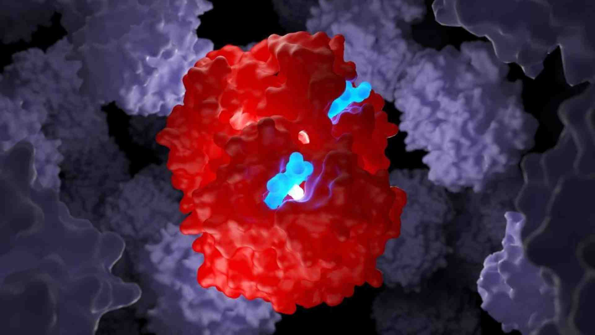 Immagine di Beta talassemia e anemia falciforme, con le “forbici molecolari” si può guarire