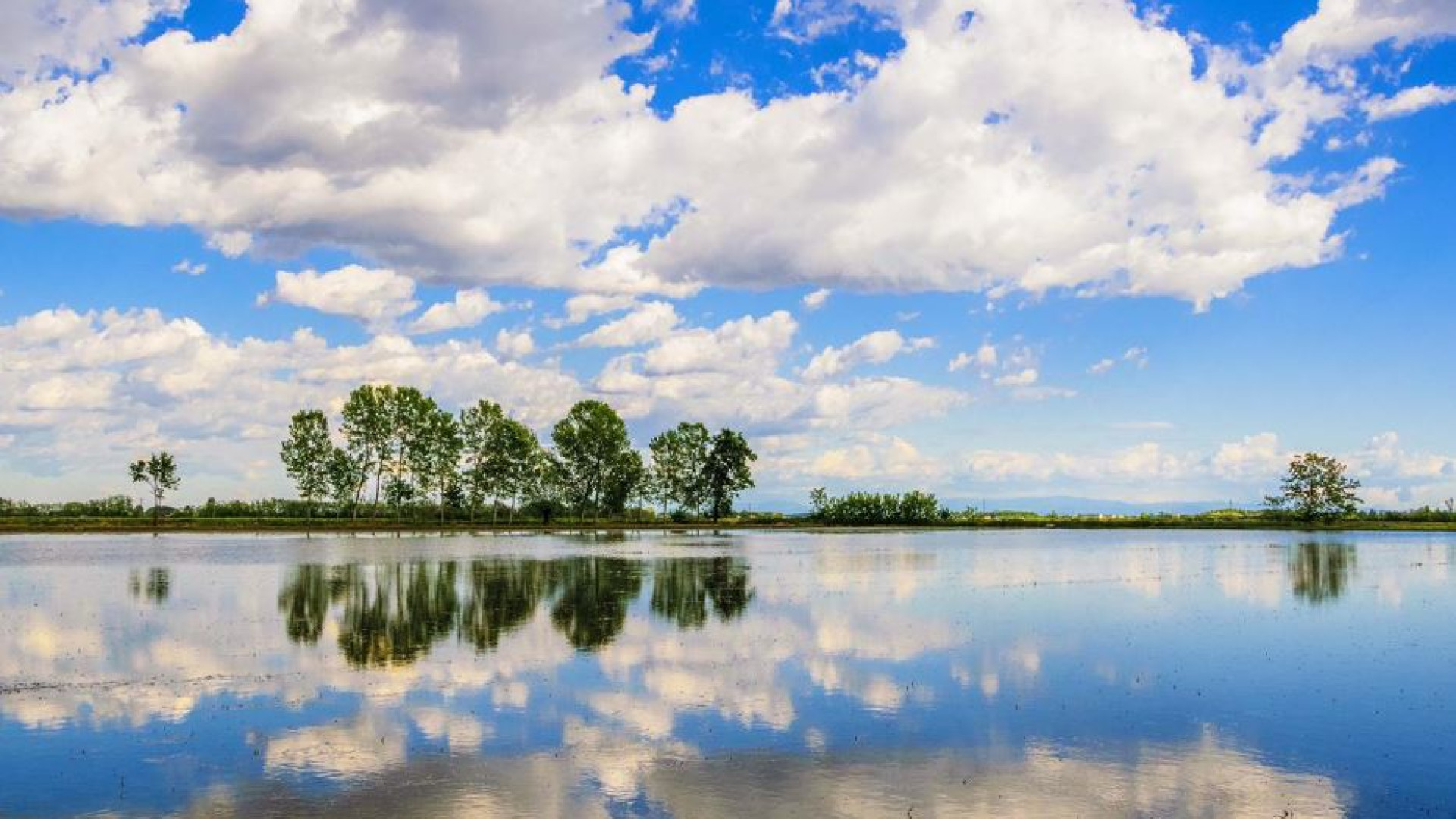 Immagine di La rivincita della campagna: il fascino sempreverde di Lomellina e Oltrepò