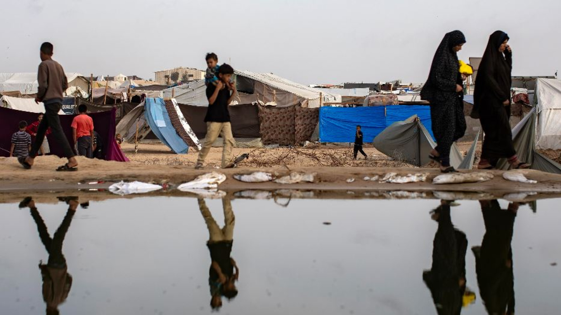 Immagine di Profughi in fuga, c'è un tariffario per scappare da Gaza