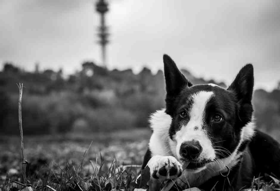 (foto Unsplash)