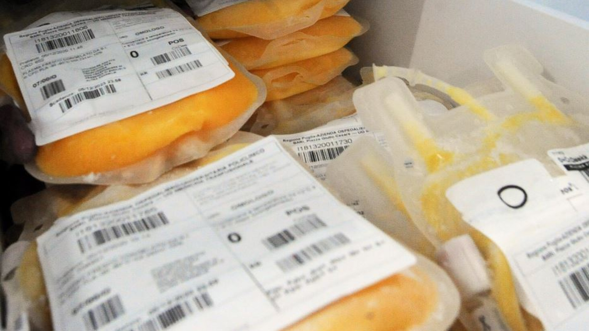 Immagine di Sangue: record storico di donazioni. E allora perché c'è carenza di plasma?
