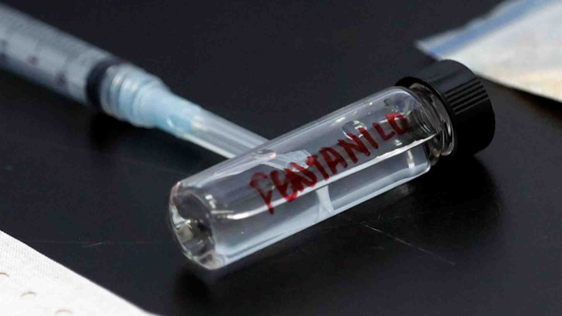 Immagine di Fentanyl nell'eroina da strada, scatta l'allerta in Italia. Che cosa vuol dire
