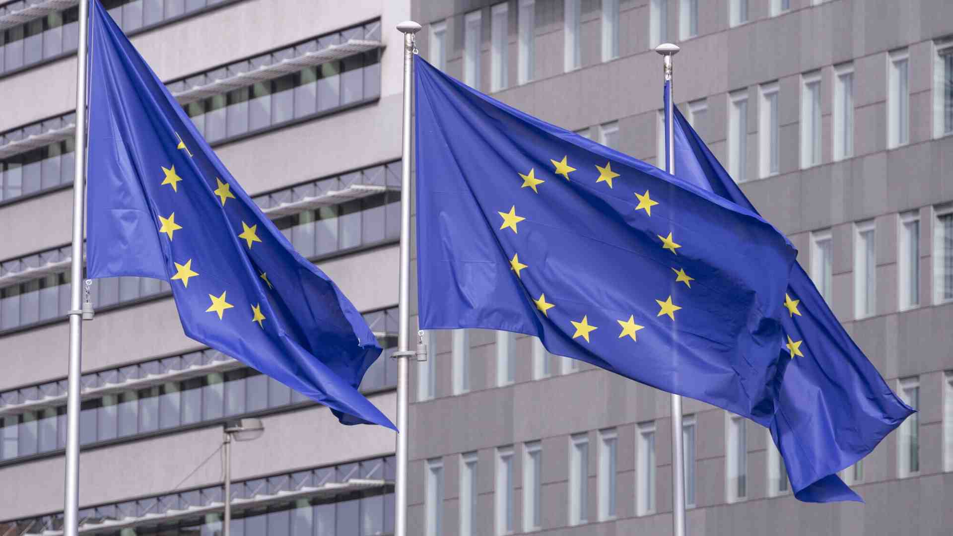 Immagine di Vent'anni fa il grande allargamento dell'Unione Europea. Bilanci