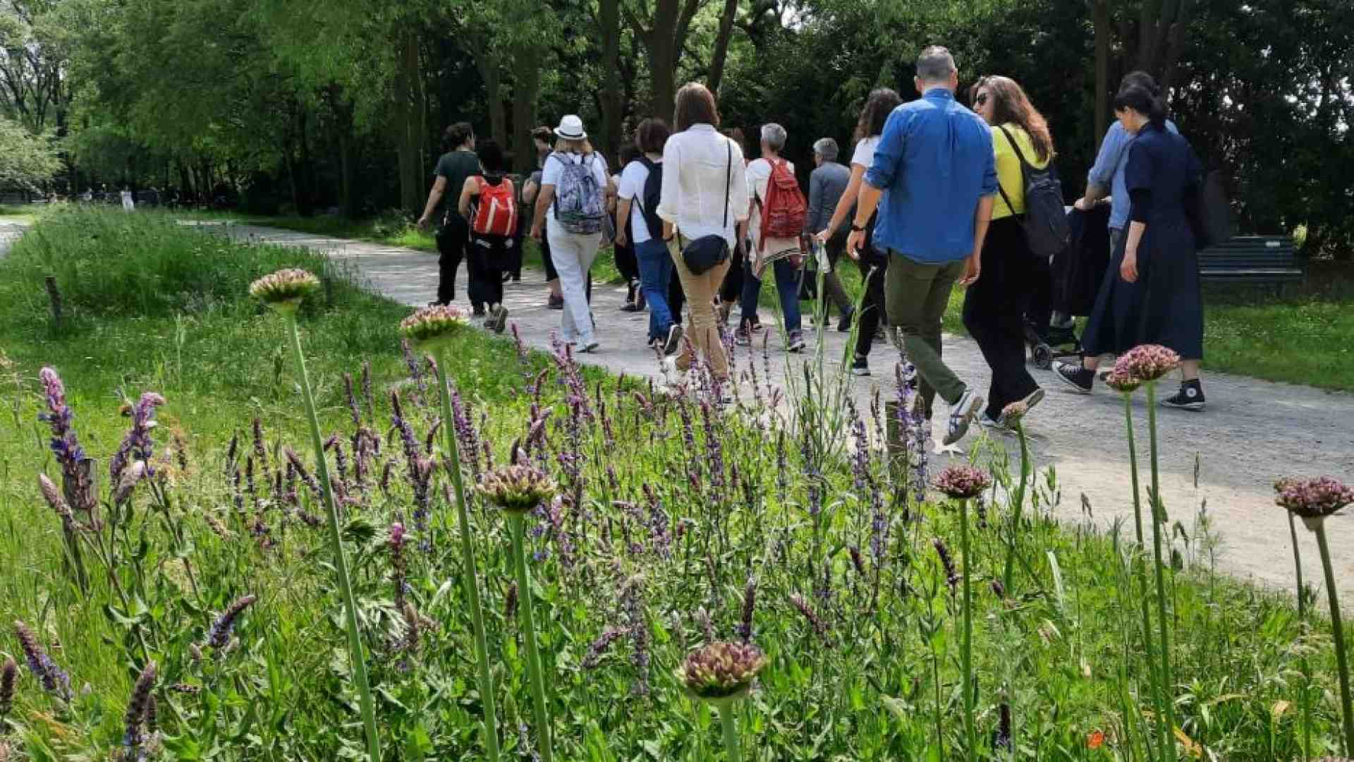 Immagine di Social Walking, la rete si fa camminando