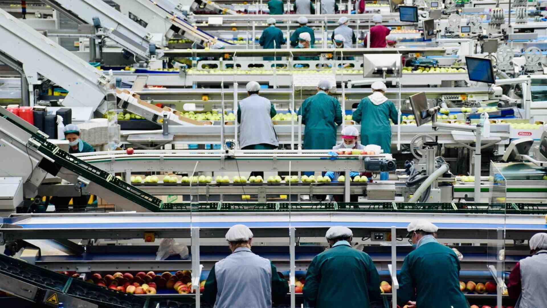 Immagine di I dati dell’Istat sull'occupazione smentiscono le bugie diffuse dalla Cgil il Primo maggio