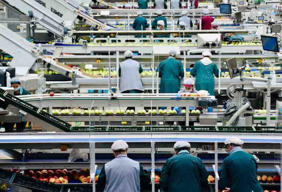 I dati dell’Istat sull'occupazione smentiscono le bugie diffuse dalla Cgil il Primo maggio