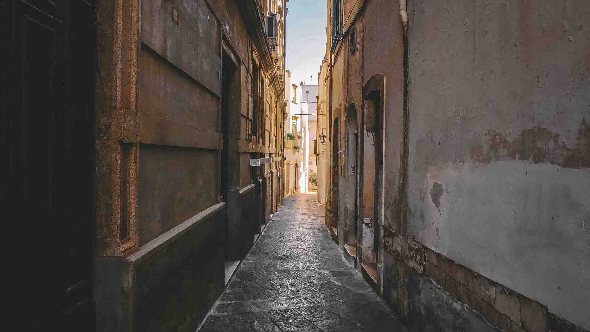 Immagine di Un romanzo perfetto: “Ritorno in Puglia” di Ferrante