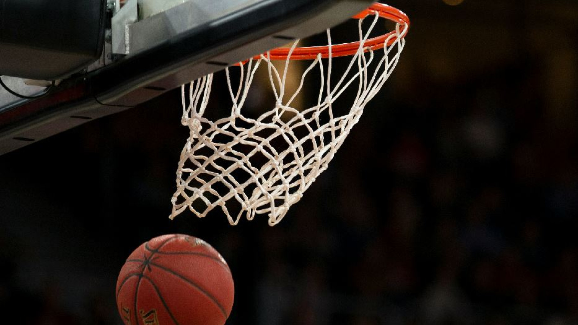 Immagine di L'Umana Reyer lancia la prima squadra di Basket Unificato
