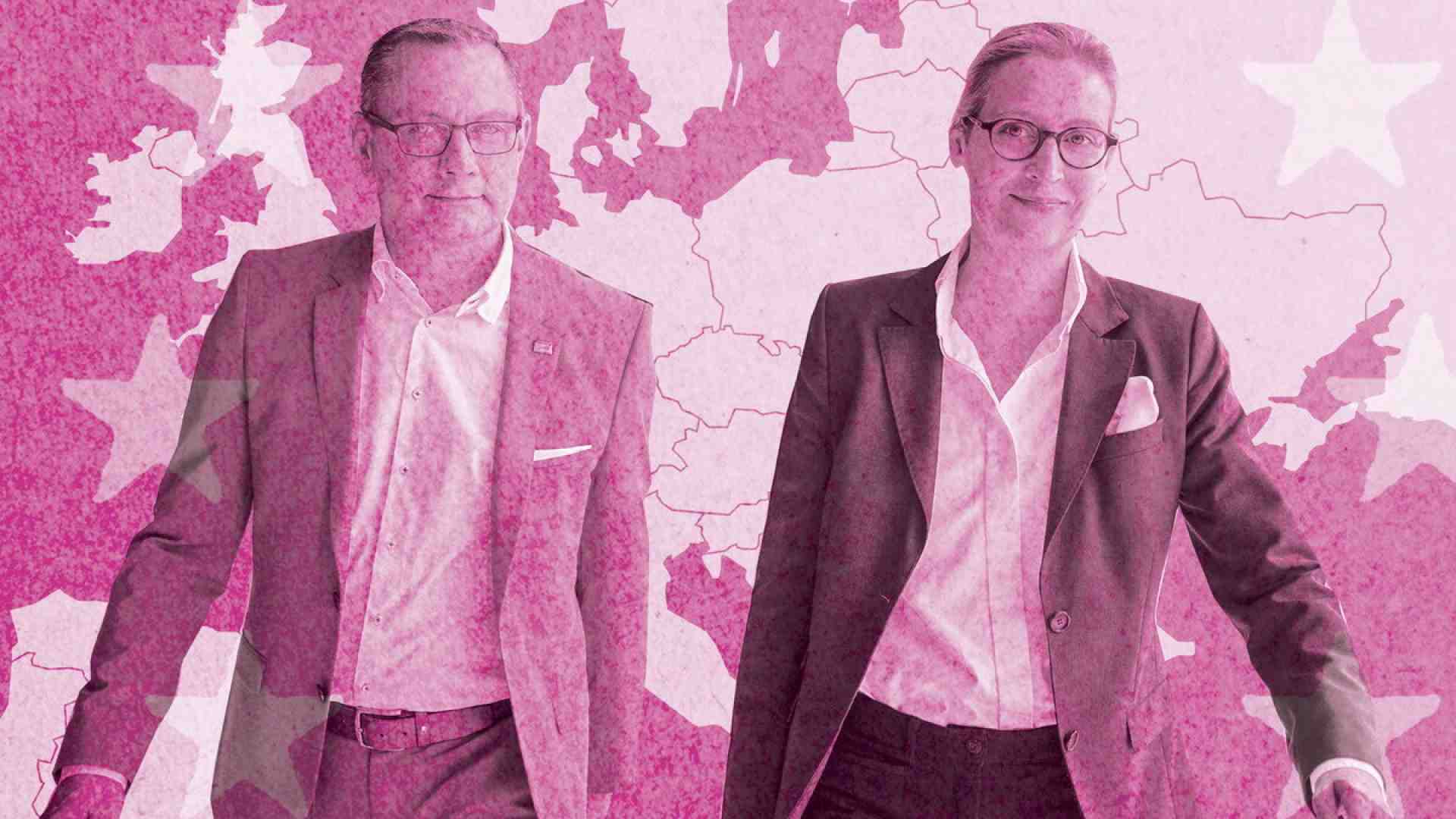 Immagine di Il tracollo dell’Afd, tra scandali e soldi russi e cinesi
