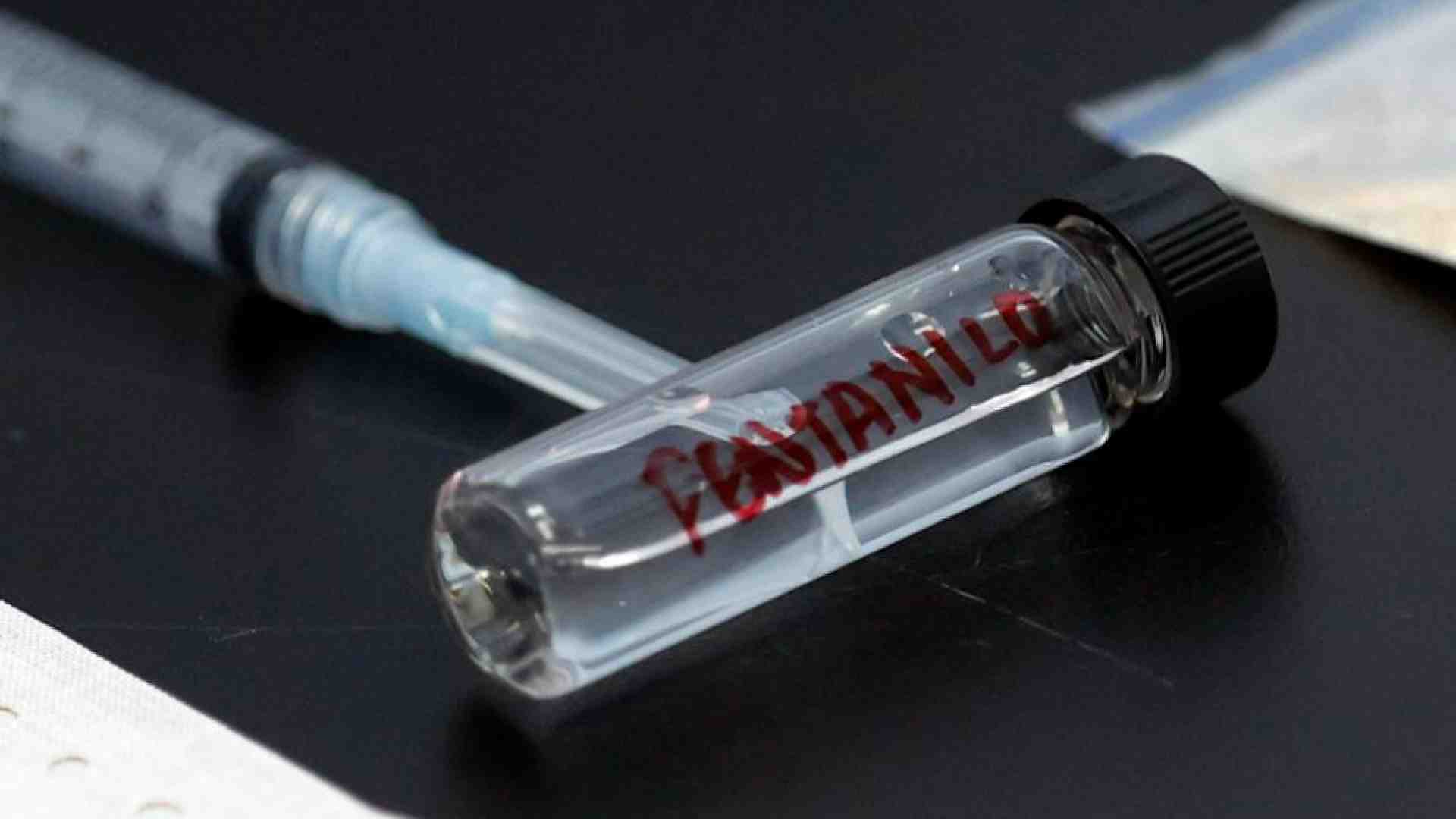 Immagine di Il Fentanyl viene venduto online. I servizi segreti monitorano il traffico