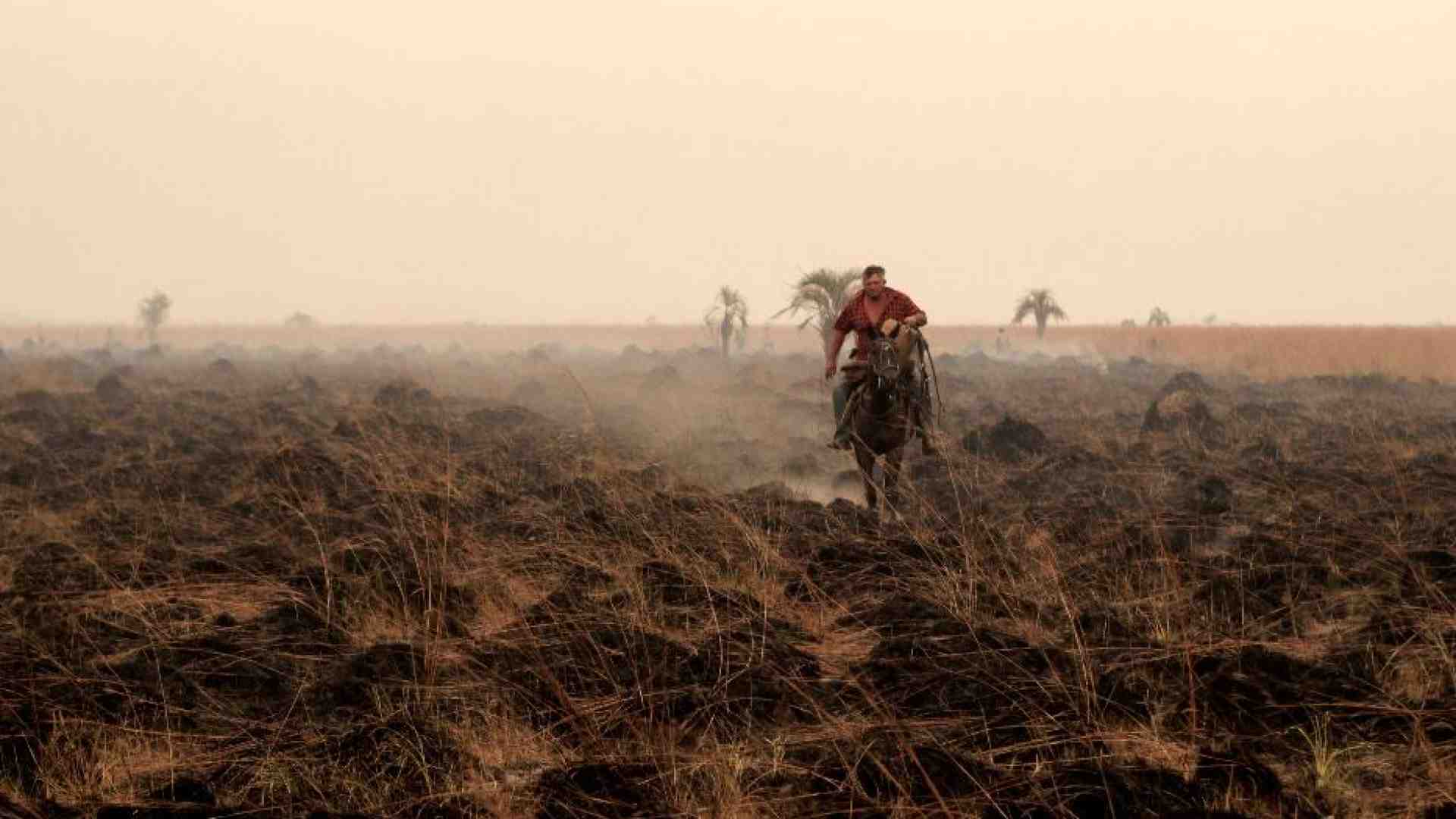 Immagine di El Niño e La Niña in altalena non sono una buona notizia per il cibo
