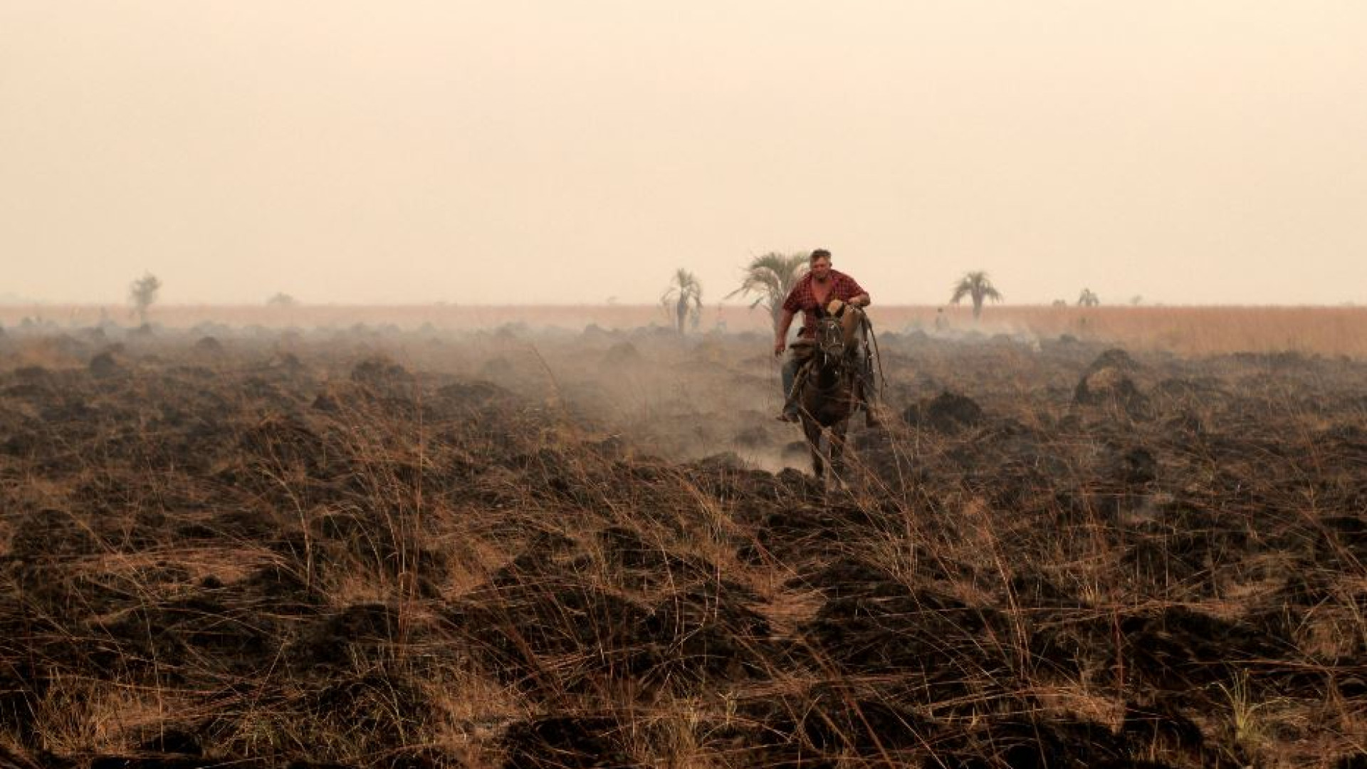 Immagine di El Niño e La Niña in altalena non sono una buona notizia per il cibo