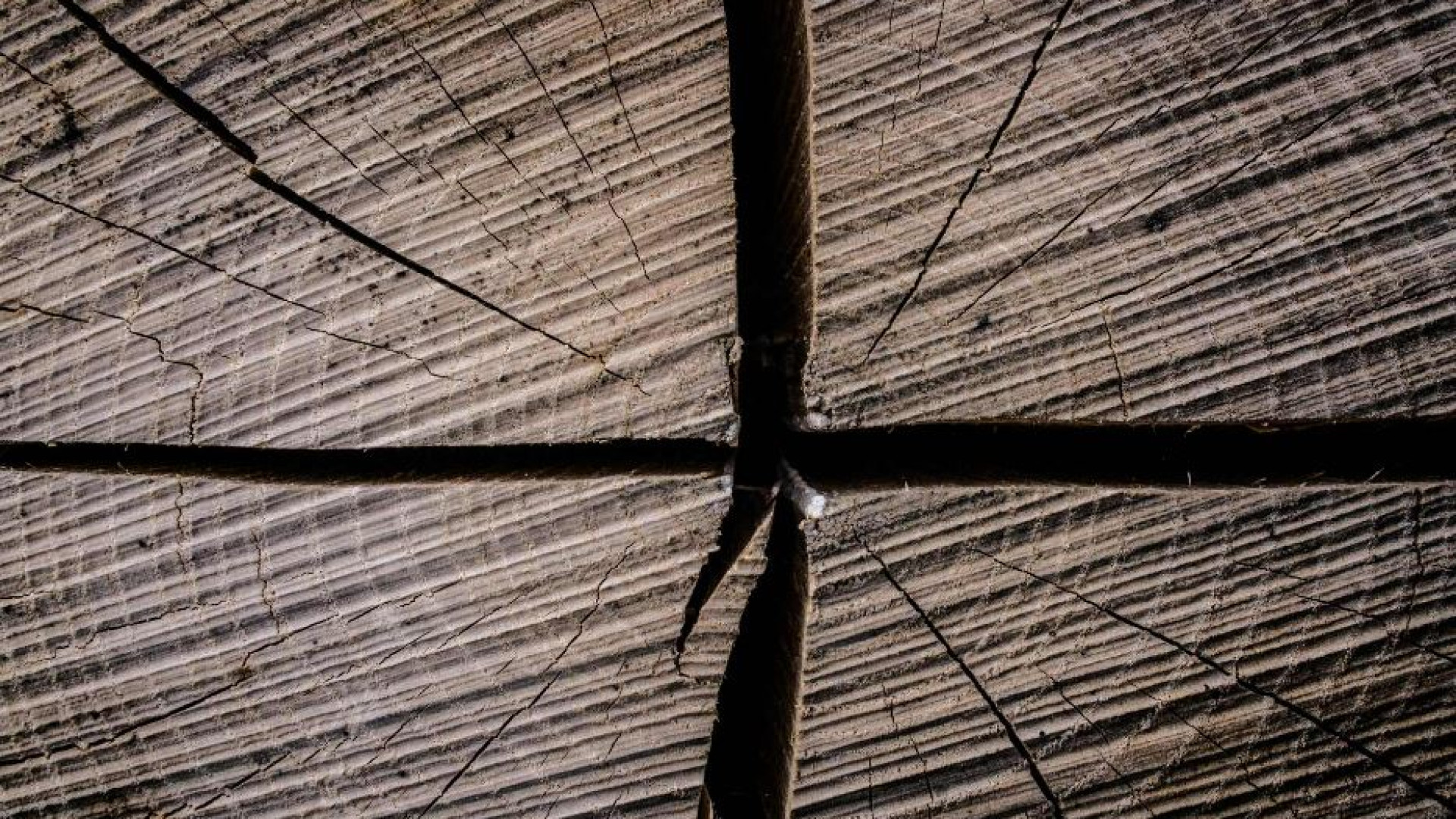 Immagine di Come si fa a dire che l’estate 2023 è stata la più calda da 2.000 anni