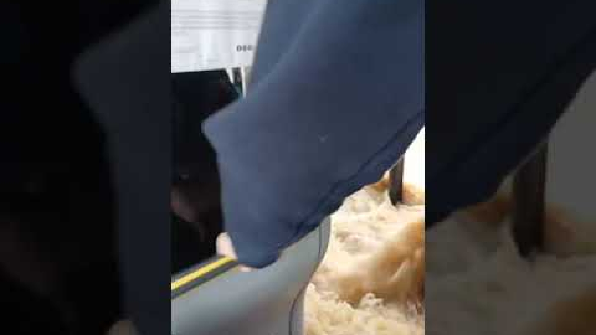 Immagine di Nubifragio sulla Lombardia: esondano Lambro e Seveso, paura a Gessate