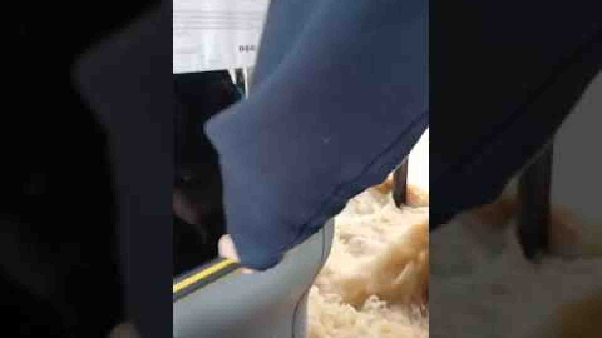 Immagine di Nubifragio sulla Lombardia: esondano Lambro e Seveso, paura a Gessate
