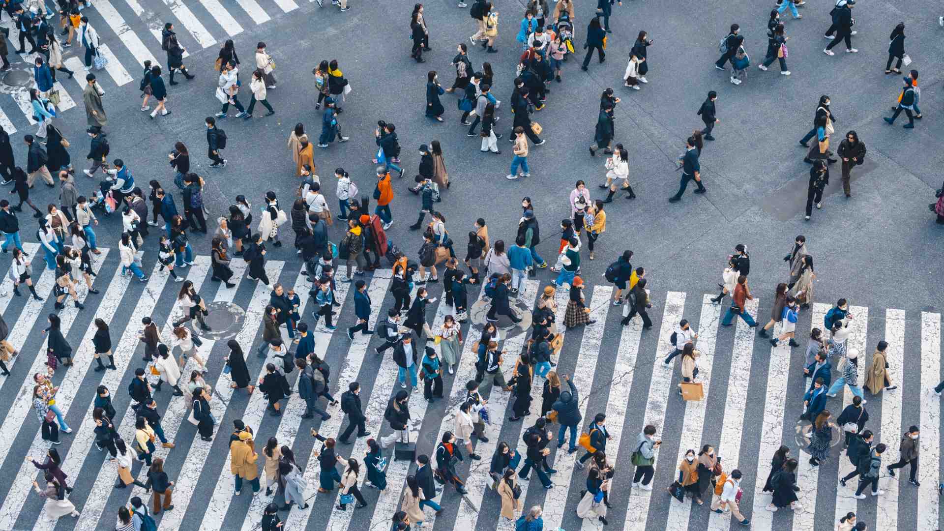 Immagine di La società civile ai raggi X