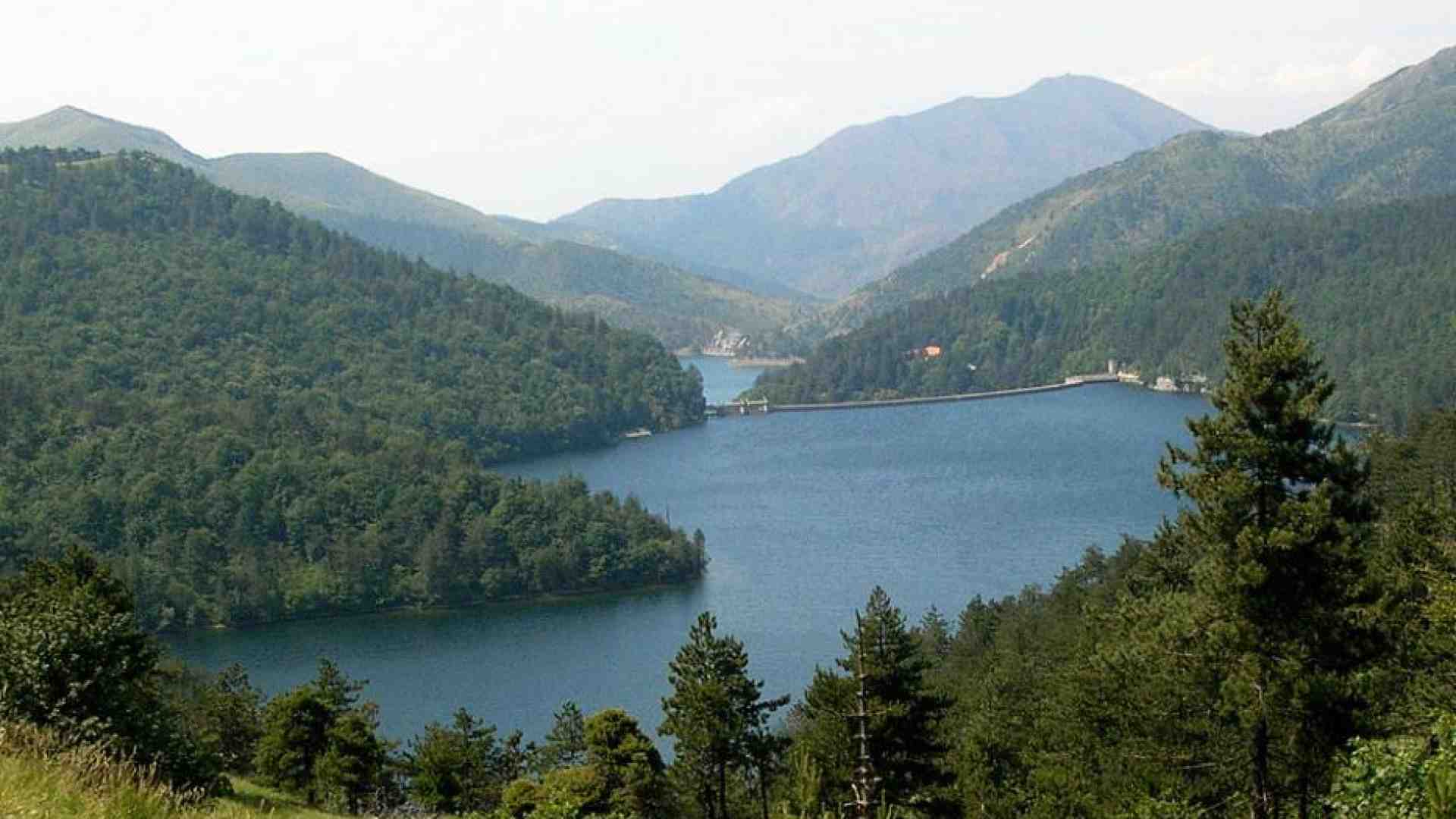 Immagine di Pellegrini a due passi da casa, cercando la strada e la vita