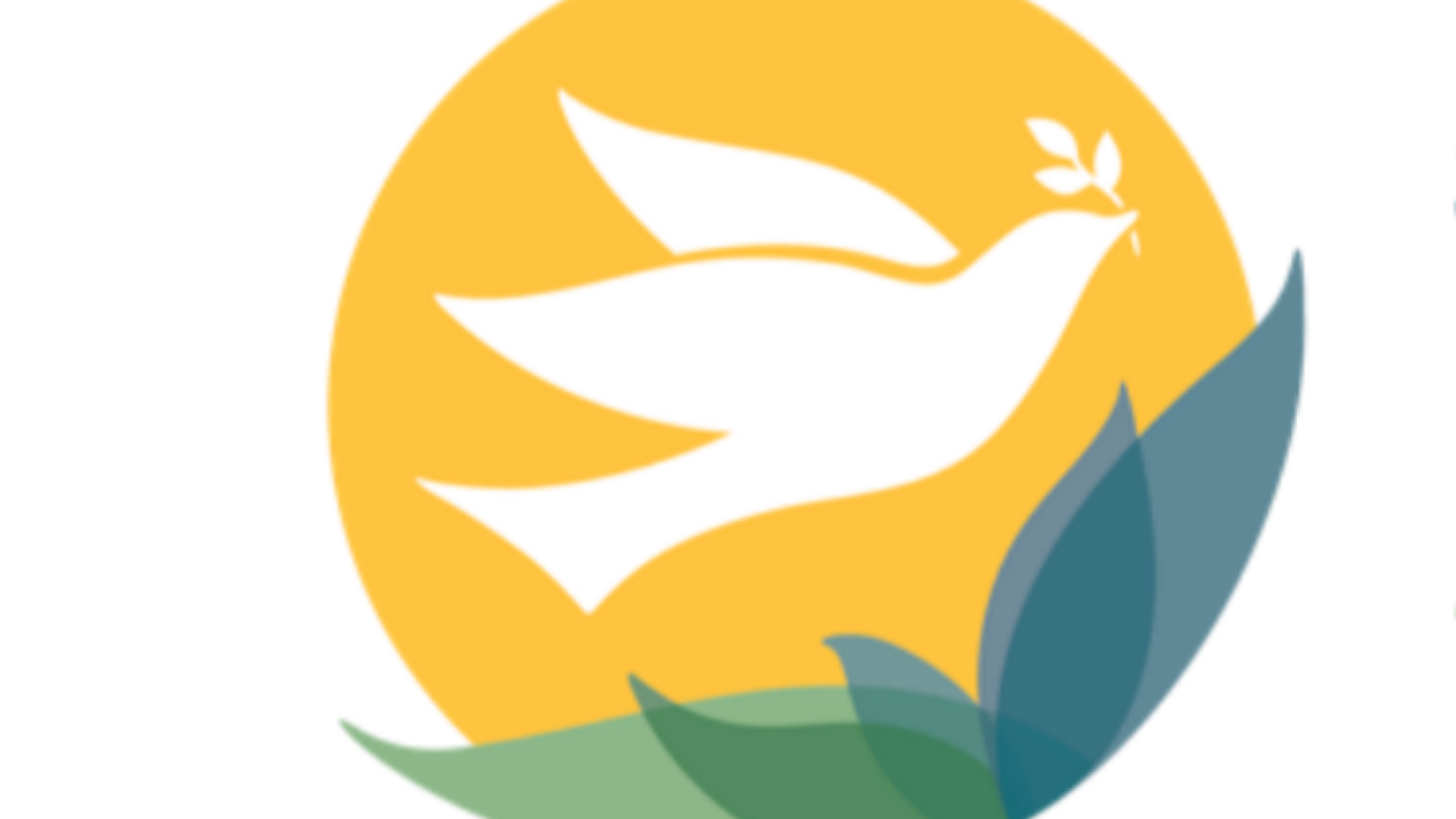 Immagine di Cure palliative, forum internazionale in Canada