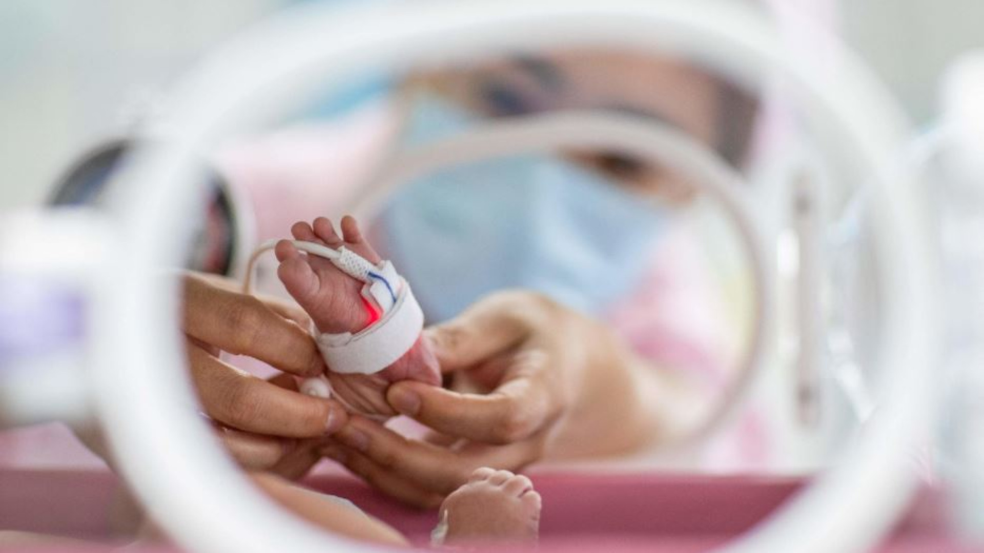 Immagine di Marina Casini: «Mancano 6 milioni di bambini, non possiamo assuefarci»