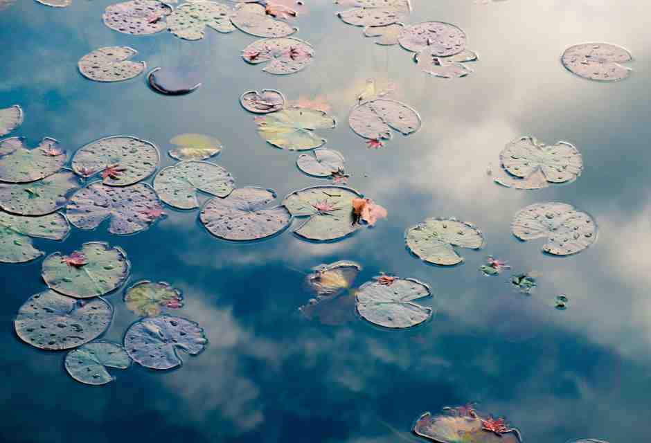 (foto Unsplash)