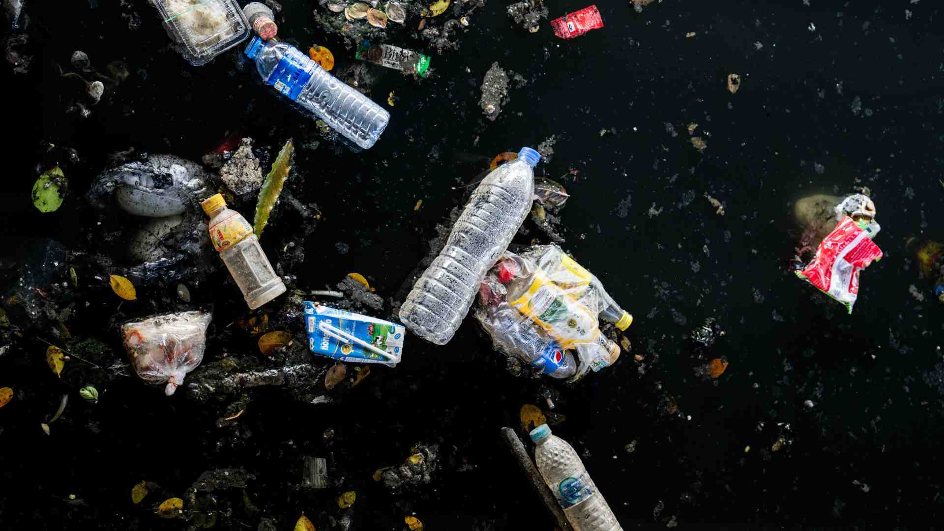 Immagine di Bruxelles è chiara sulla plastica monouso, ma l'Italia pensa di essere più furba