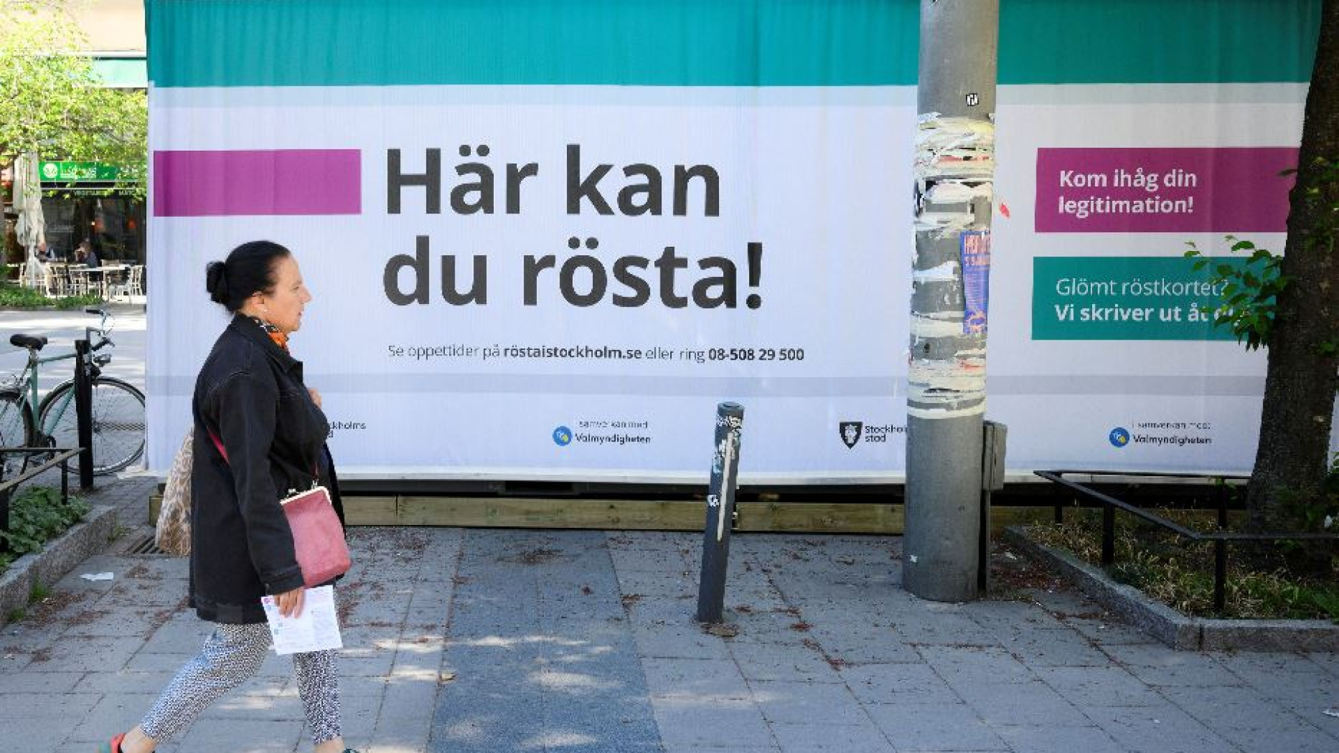 Immagine di Destinati a donare gli organi, se “inutili” e senza figli: distopia del futuro
