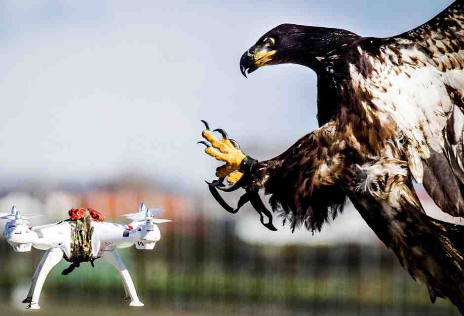 Dall’operazione Eagle Claw in Iran alla morte di Lin Biao: quando i conti si regolano ad alta quota