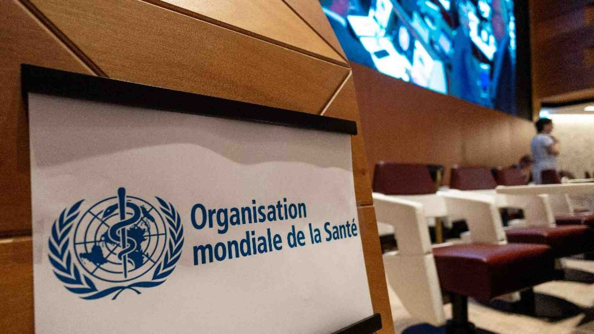 Immagine di Verso un vaccino contro l’influenza aviaria. «Preveniamo una nuova pandemia»