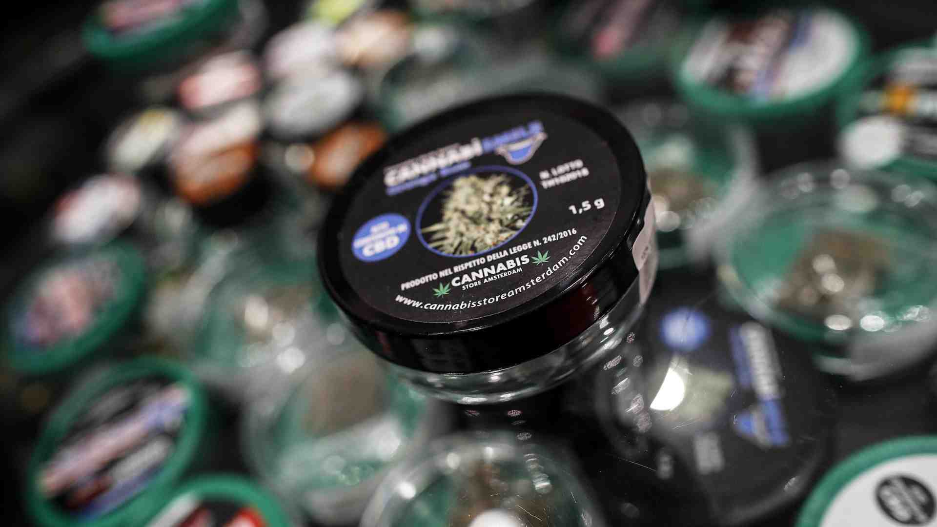 Immagine di Sulla cannabis light il ministro Urso sbaglia: "A rischio 3 mila imprese. Non siamo spacciatori"