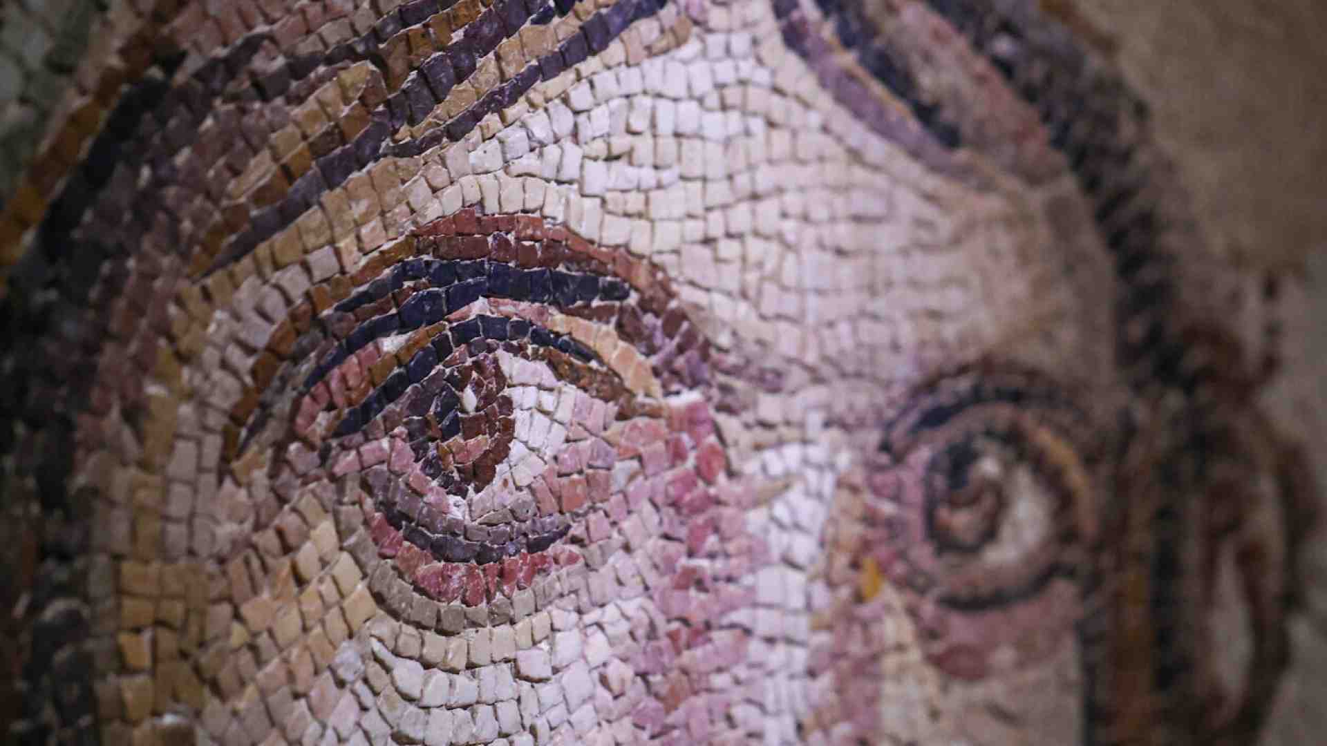 Immagine di Siamo tutti dei "mosaici genetici"