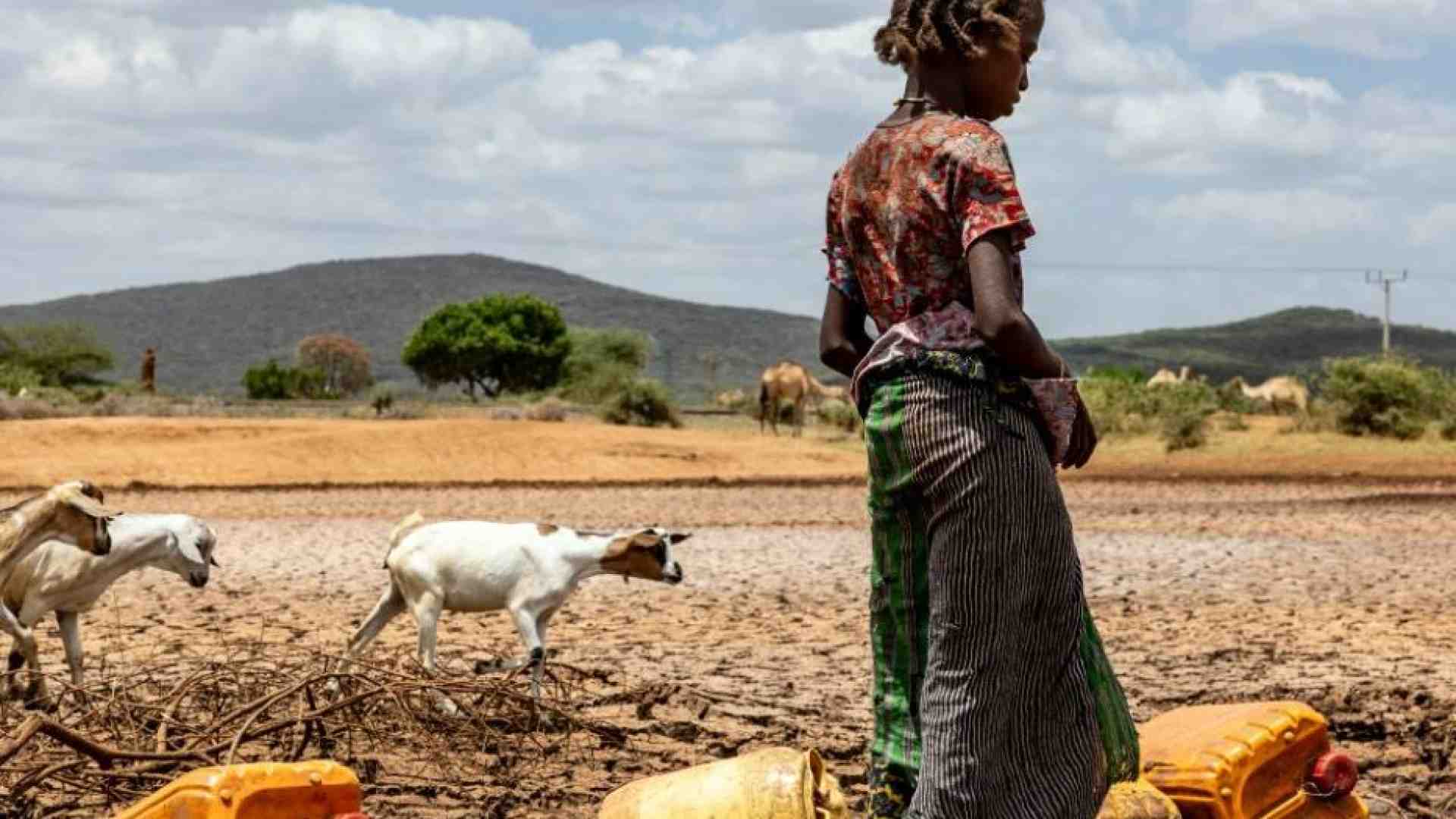 Immagine di Siccità e alluvioni, 50 milioni rischiano di morire di fame nel Corno d'Africa