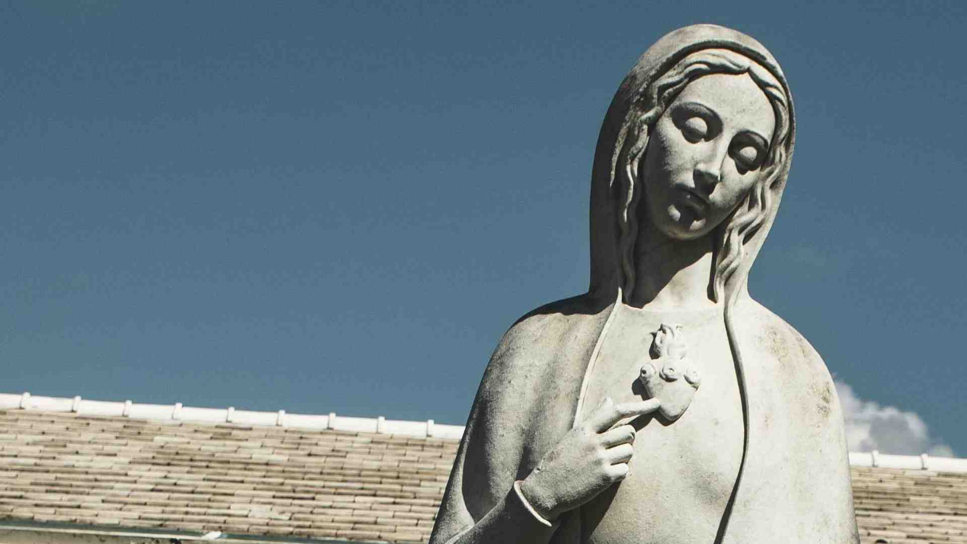 Immagine di Solo nella debolezza si incontrano l’accoglienza e la fecondità
