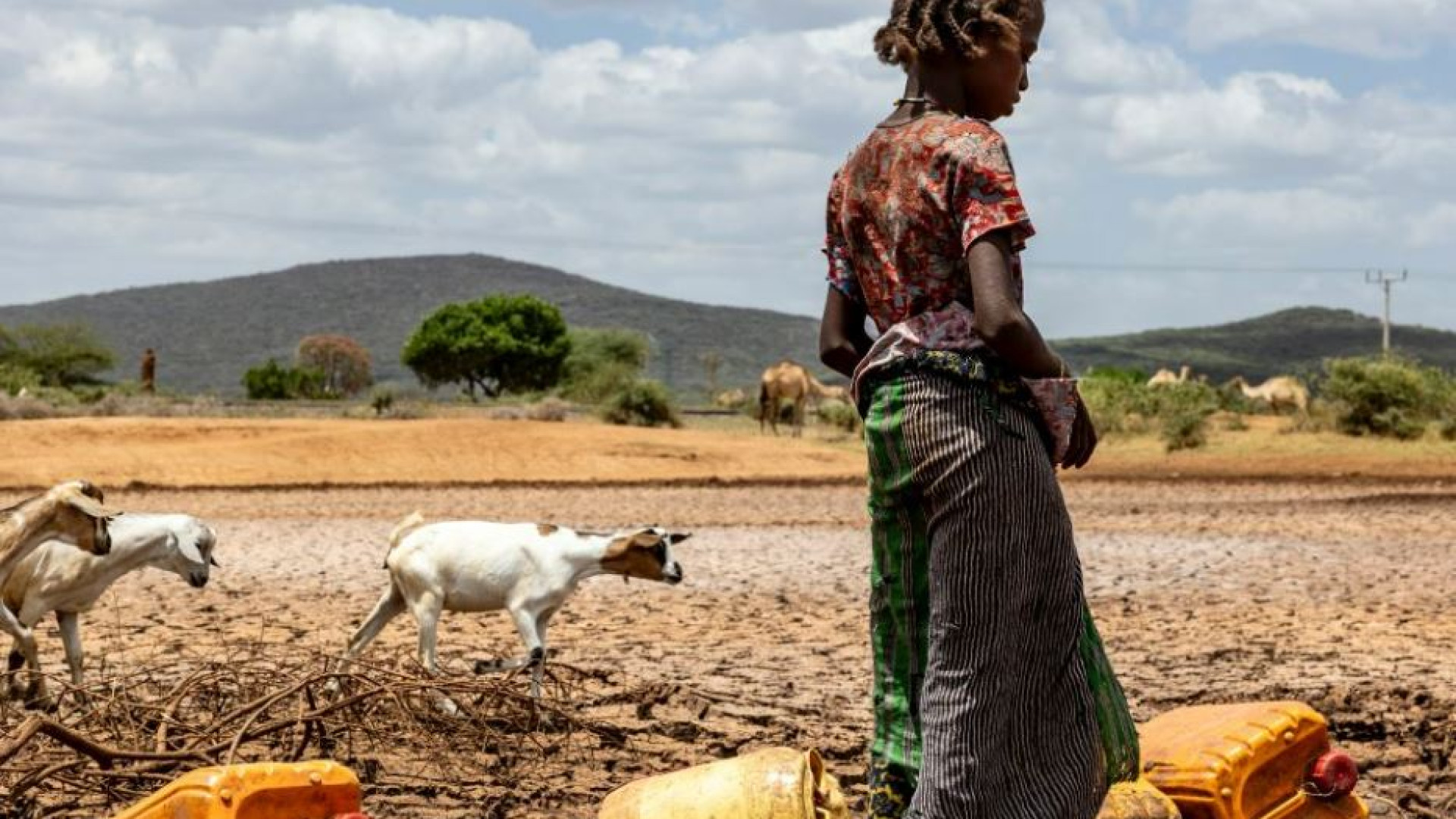 Immagine di Siccità e alluvioni, 50 milioni rischiano di morire di fame nel Corno d'Africa